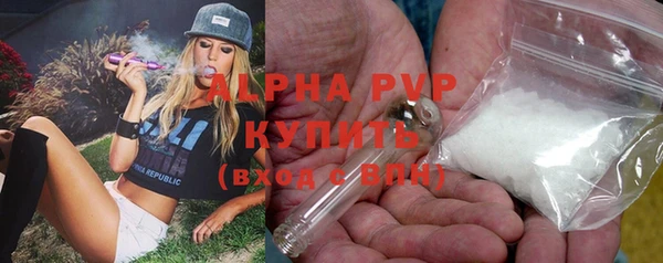 PSILOCYBIN Осинники