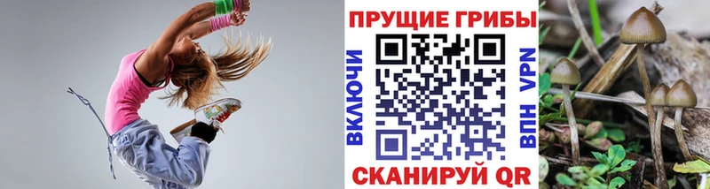 Псилоцибиновые грибы GOLDEN TEACHER  где купить наркотик  Ялуторовск 