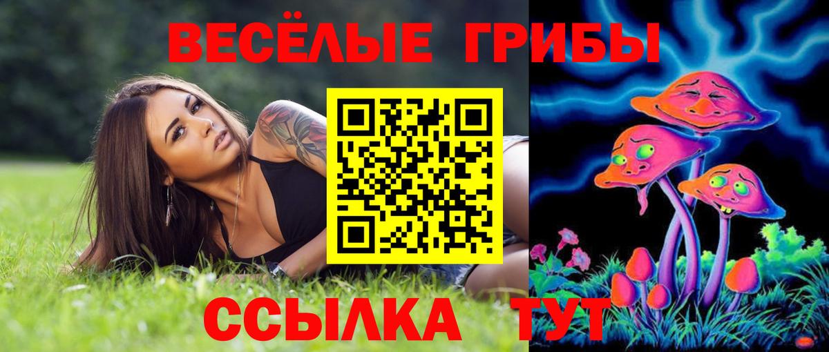 Галлюциногенные грибы MAGIC MUSHROOMS Ялуторовск