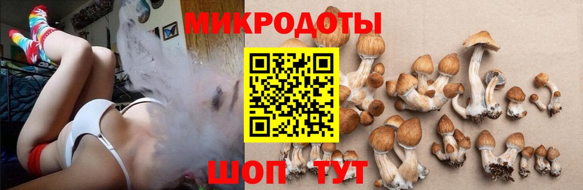 купить закладку  Галлюциногенные грибы Psilocybine cubensis  Вход с VPN  Ялуторовск 